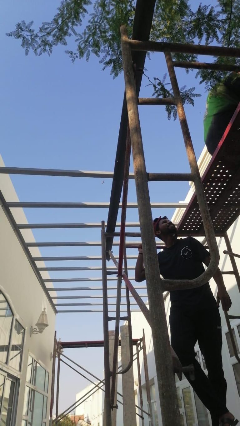 WhatsApp Image 2025-04-08 at 08.25